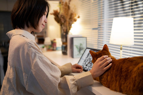 Do Cats Recognize Their Own Name? (and are they ignoring you?)