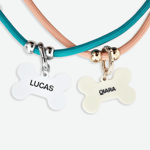 Bone-Appetite Series Pet ID Tag
