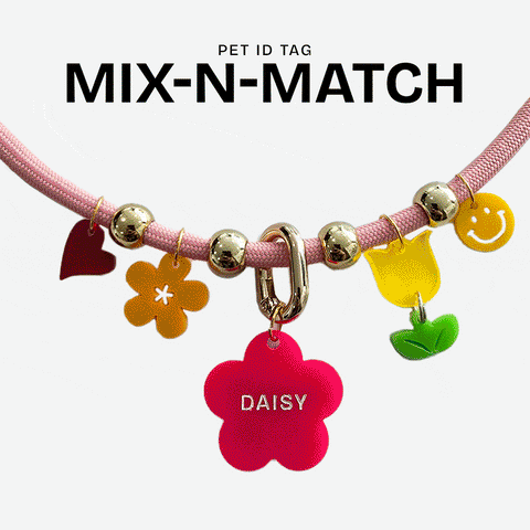 Mix-N-Match Pet ID Tag