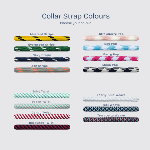 Adjustable Pet Collar Pattern