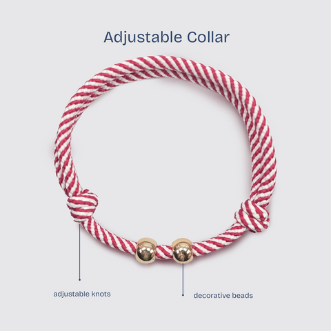 Adjustable Pet Collar Pattern