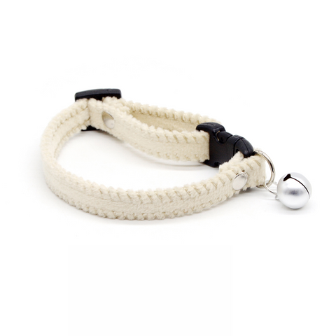 Colorful Buckled Collar