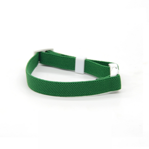 Colorful Buckled Collar