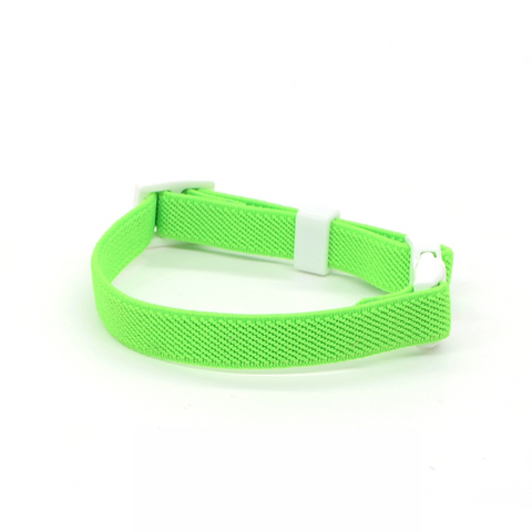 Colorful Buckled Collar