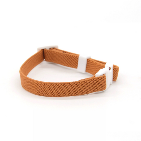 Colorful Buckled Collar