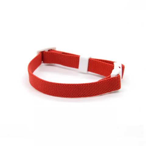 Colorful Buckled Collar