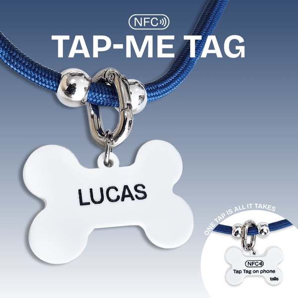 NFC Tap-Me Tag Bundle