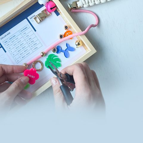Pet Collar DIY Workshop