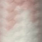 Adjustable Pet Collar Pattern