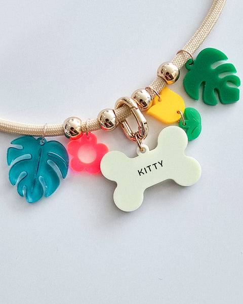 Pet ID Tag